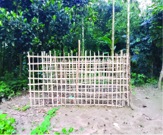 Image of আ: আজিজ
